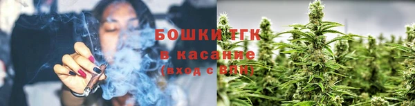 apvp Богородск