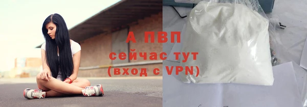 apvp Богородск