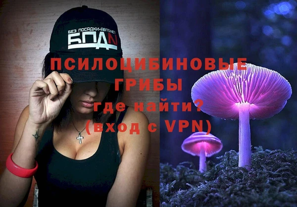 apvp Богородск