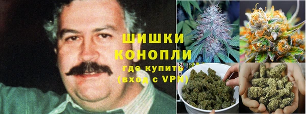 а пвп мука Богданович