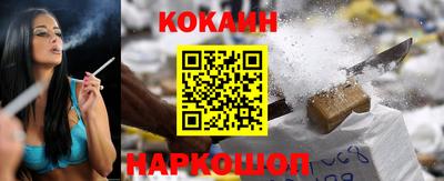 гидропоника Гатчина