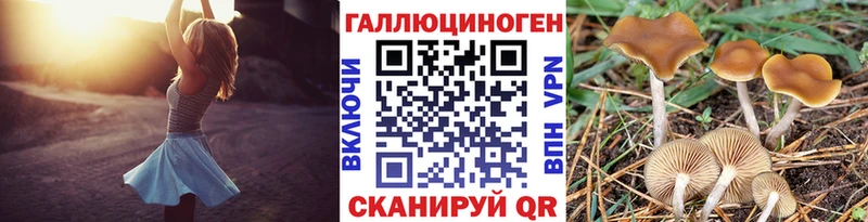 кракен ссылки  Борисоглебск  Псилоцибиновые грибы MAGIC MUSHROOMS 