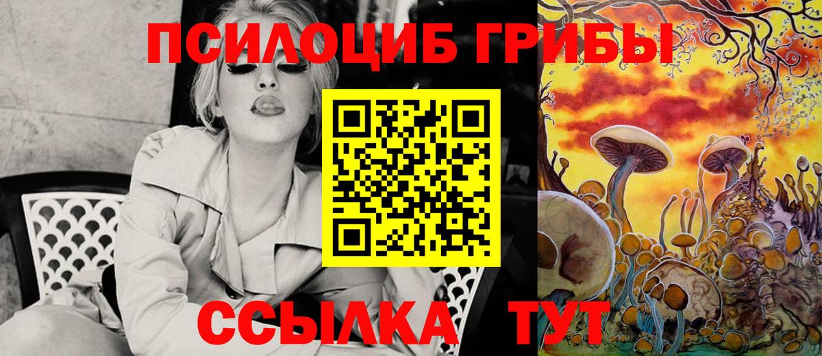 закладки  Галлюциногенные грибы Cubensis  Борисоглебск  Псилоцибиновые грибы Psilocybe 