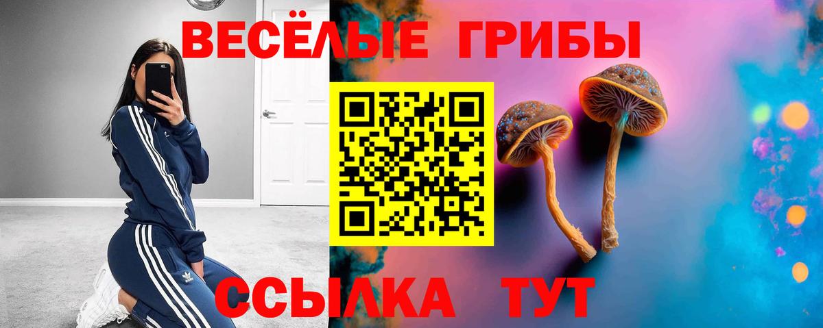 Борисоглебск  Псилоцибиновые грибы Psilocybe  Вход с VPN 