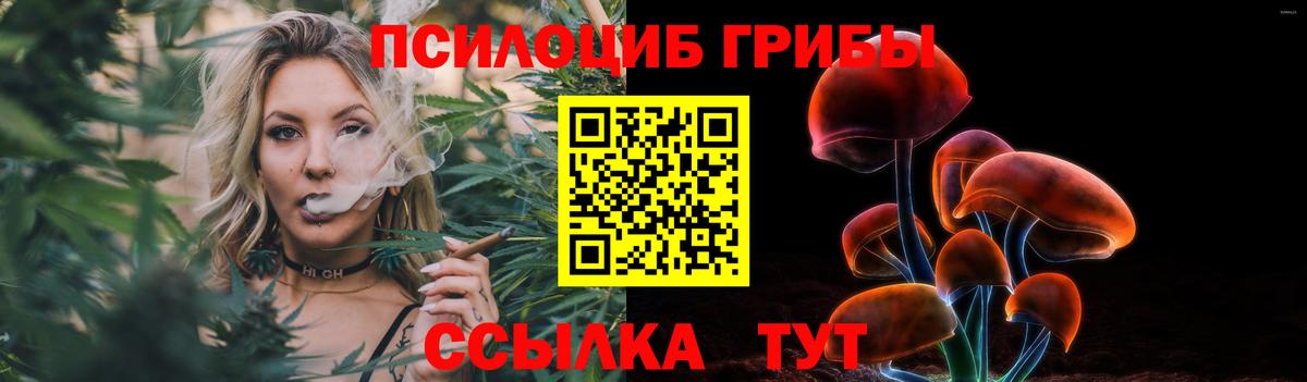 Псилоцибиновые грибы мицелий Борисоглебск
